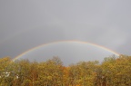 Regenbogen